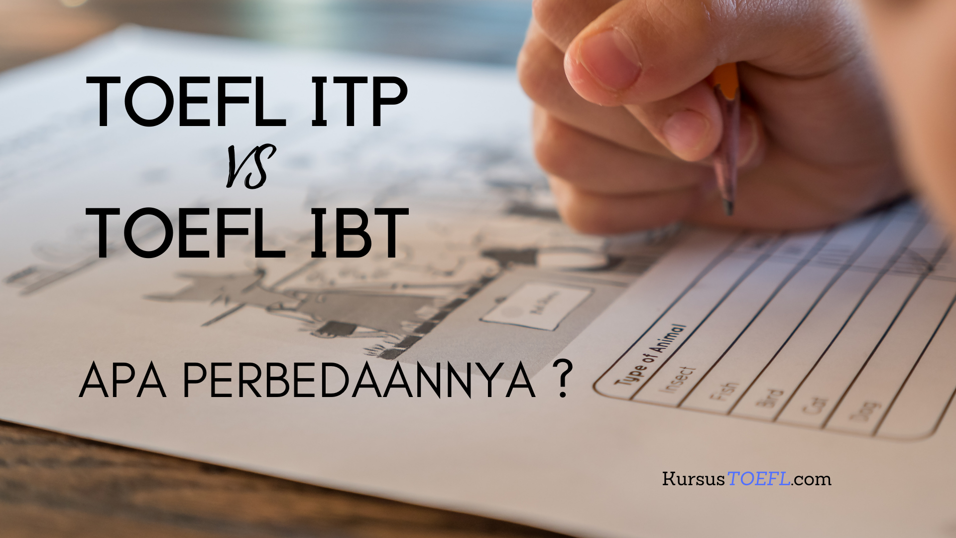 Apa Perbedaan Toefl Ibt Dan Itp Berbagai Perbedaan My Xxx Hot Girl